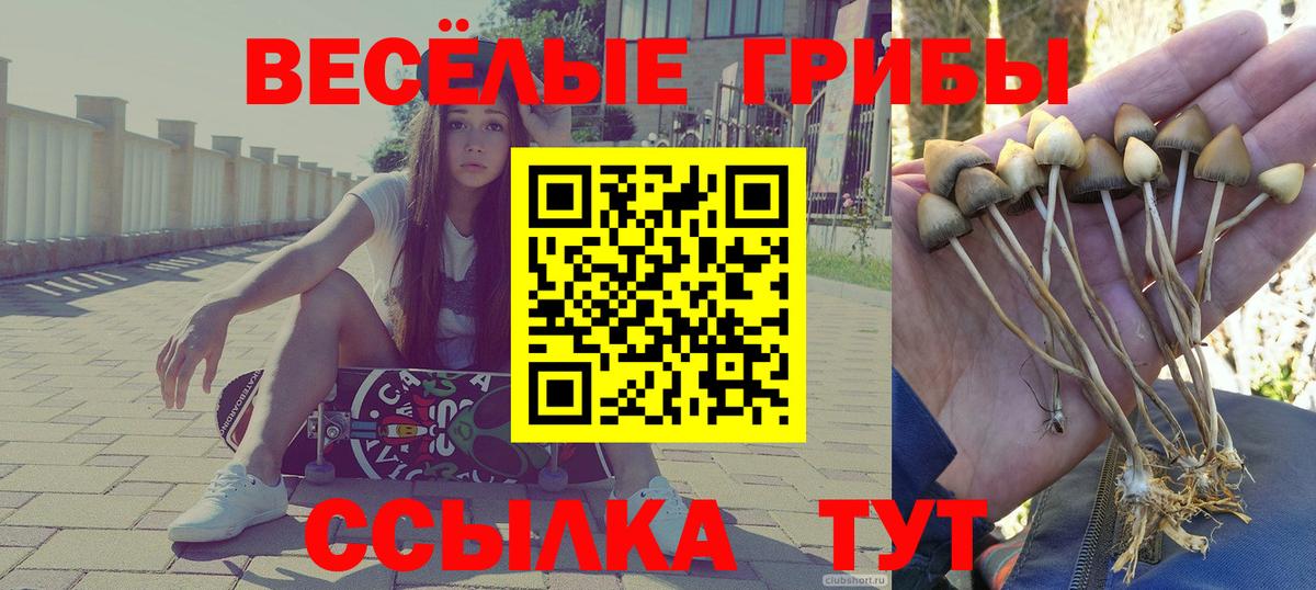 Псилоцибиновые грибы MAGIC MUSHROOMS  Вход с VPN  Галлюциногенные грибы ЛСД  Абакан 